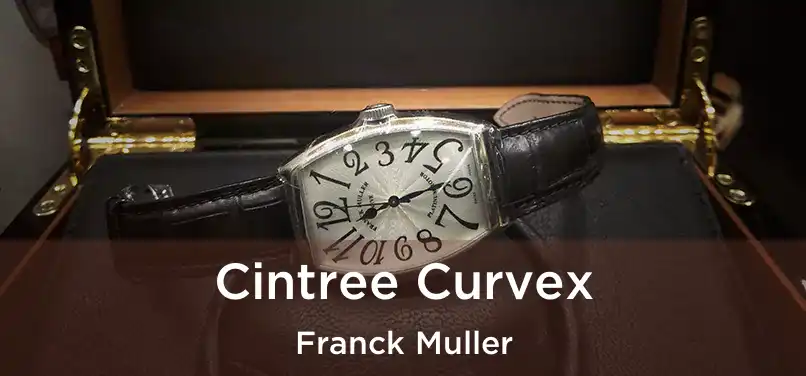  Cintree Curvex Franck Muller